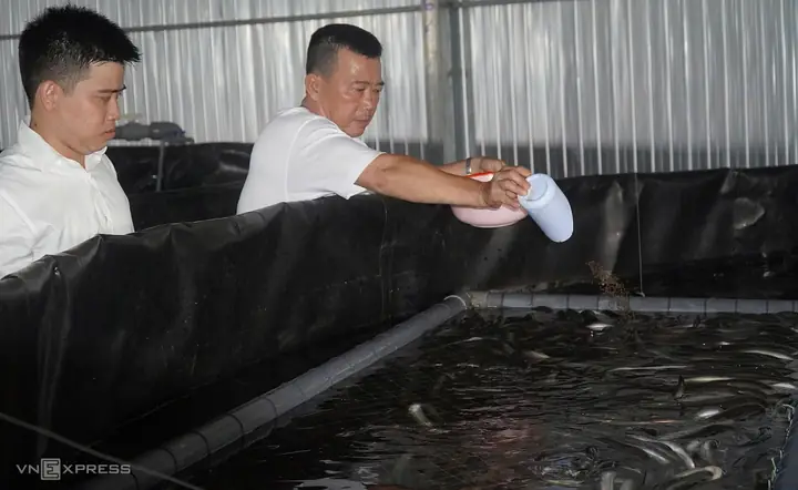 Nuôi Cá Bằng Bể Lọc Tuần Hoàn: Hướng Dẫn Chi Tiết & Giải Pháp Hiệu Quả