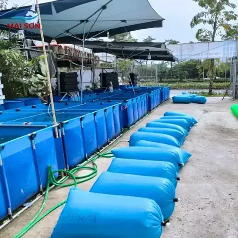 Nuôi Cá Truyền Thống: Kỹ Thuật, Hiệu Quả Và Xu Hướng Phát Triển