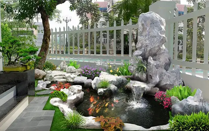 Nuôi Cá Vàng Ngoài Trời: Kinh Nghiệm, Lưu Ý Và Cách Chăm Sóc Chi Tiết