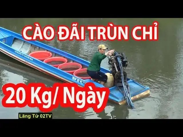 Hướng Dẫn Nuôi Trùn Chỉ Trong Hồ Cá Sinh Sản Nhanh, Không Cần Oxy Hướng Dẫn Nuôi Trùn Chỉ Trong Hồ Cá Sinh Sản Nhanh, Không Cần Oxy