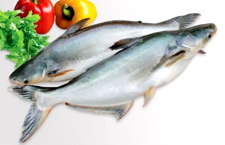 Patin Fish Là Cá Gì? Đặc Điểm, Phân Loại Và Tên Gọi Khác
