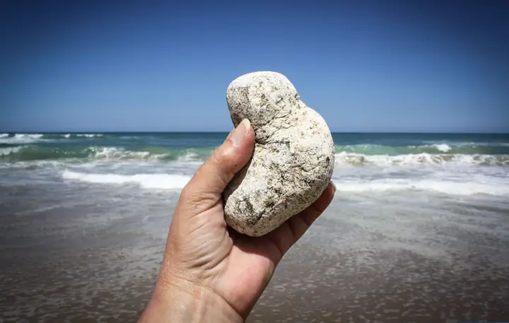 Long Diên Hương (phân Cá Nhà Táng): Giá Trị, Nguồn Gốc Và Vì Sao Đắt Hơn Vàng Long Diên Hương (phân Cá Nhà Táng): Giá Trị, Nguồn Gốc Và Vì Sao Đắt Hơn Vàng