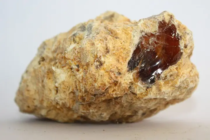 Long Diên Hương (phân Cá Nhà Táng): Giá Trị, Nguồn Gốc Và Vì Sao Đắt Hơn Vàng Long Diên Hương (phân Cá Nhà Táng): Giá Trị, Nguồn Gốc Và Vì Sao Đắt Hơn Vàng