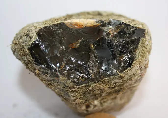Long Diên Hương (phân Cá Nhà Táng): Giá Trị, Nguồn Gốc Và Vì Sao Đắt Hơn Vàng Long Diên Hương (phân Cá Nhà Táng): Giá Trị, Nguồn Gốc Và Vì Sao Đắt Hơn Vàng