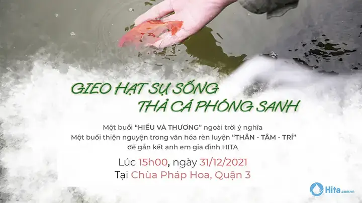 Phóng Sinh Cá Trê: Ý Nghĩa, Nghi Thức Và Lưu Ý Quan Trọng