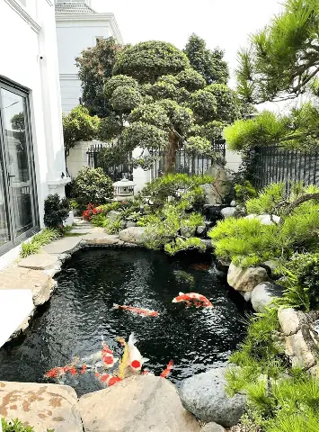 Phong Thủy Hồ Cá Sân Vườn: Vị Trí, Hướng Đặt Và Những Lưu Ý Mang Tài Lộc