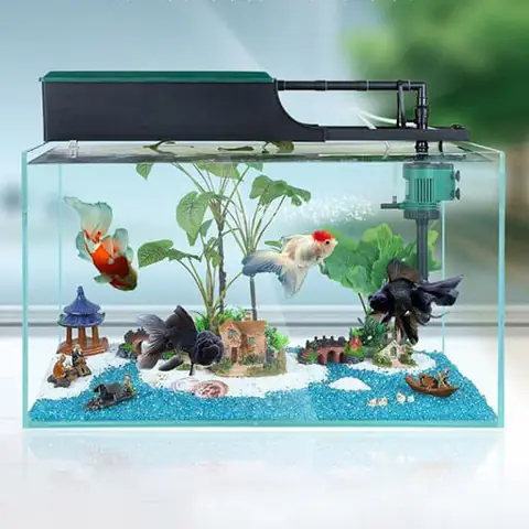 Phụ Kiện Bể Cá Cảnh Toàn Diện: Từ Cơ Bản Đến Trang Trí Độc Đáo