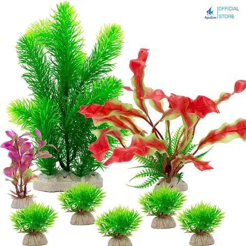 Phụ Kiện Bể Cá Cảnh Toàn Diện: Từ Cơ Bản Đến Trang Trí Độc Đáo