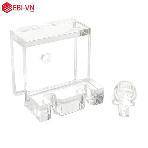Phụ Kiện Hồ Cá Biển: Danh Sách Thiết Yếu Và Lưu Ý Chọn Lựa