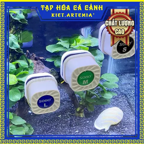 Phụ Kiện Hồ Cá Mini: Cần Thiết Cho Bể Thủy Sinh Đẹp & Khỏe