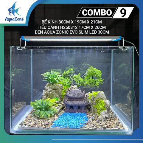 Phụ Kiện Hồ Cá Mini: Cần Thiết Cho Bể Thủy Sinh Đẹp & Khỏe