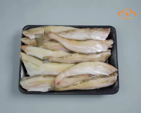 Cá Pollock Là Cá Gì? Đặc Điểm, Phân Loại Và Lợi Ích Sức Khỏe