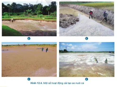 Quy Trình Nuôi Cá Nước Ngọt Chi Tiết Từ A-z: Hướng Dẫn Từng Bước Quy Trình Nuôi Cá Nước Ngọt Chi Tiết Từ A-z: Hướng Dẫn Từng Bước