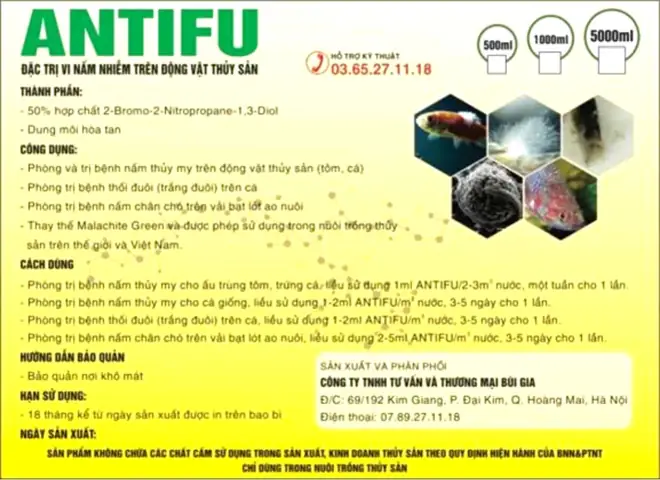 Quy Trình Nuôi Cá Tra Giống Chi Tiết Từ A-z Cho Người Mới Bắt Đầu