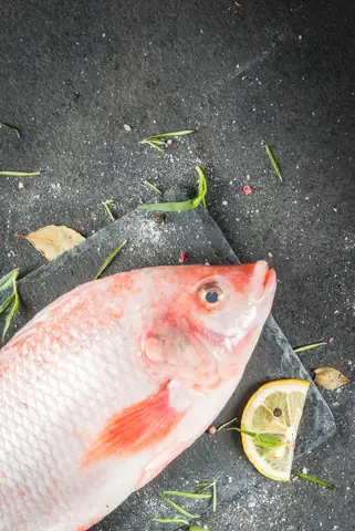 Red Tilapia Là Cá Gì? Nguồn Gốc, Đặc Điểm Và Thông Tin Chi Tiết