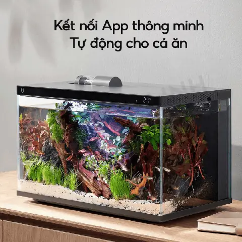Review Bể Cá Xiaomi: Có Đáng Mua Không & Kinh Nghiệm Sử Dụng Thực Tế