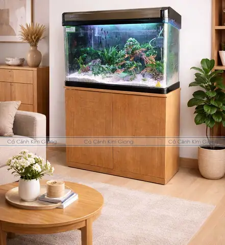 Địa Chỉ Mua Bể Cá Cảnh Uy Tín Và Các Phụ Kiện Liên Quan