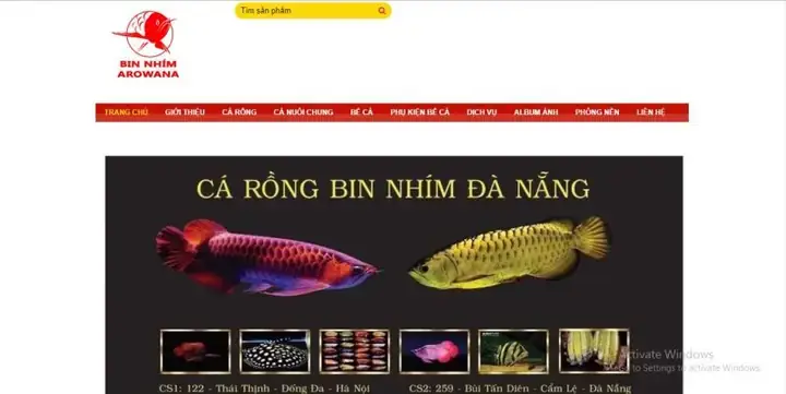 Cá Rồng Bin Nhím: Địa Chỉ Mua, Giá Và Kinh Nghiệm Chăm Sóc Uy Tín Tại Hà Nội