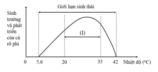 Sơ Đồ Giới Hạn Sinh Thái Cá Rô Phi: Nhiệt Độ, Khoảng Chịu Đựng & Yếu Tố Ảnh Hưởng Sơ Đồ Giới Hạn Sinh Thái Cá Rô Phi: Nhiệt Độ, Khoảng Chịu Đựng & Yếu Tố Ảnh Hưởng