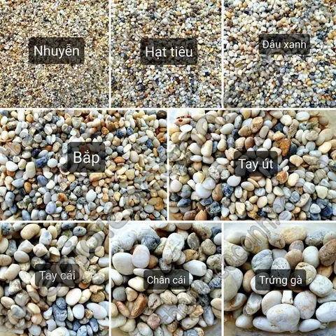 Sỏi Màu Hồ Cá: Chọn, Trang Trí & Lưu Ý An Toàn Cho Bể Cá