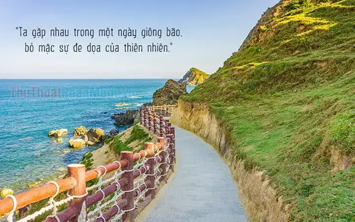Stt Hay Về Cá Cảnh: Tuyển Tập Caption Ý Nghĩa, Hài Hước & Thả Thính