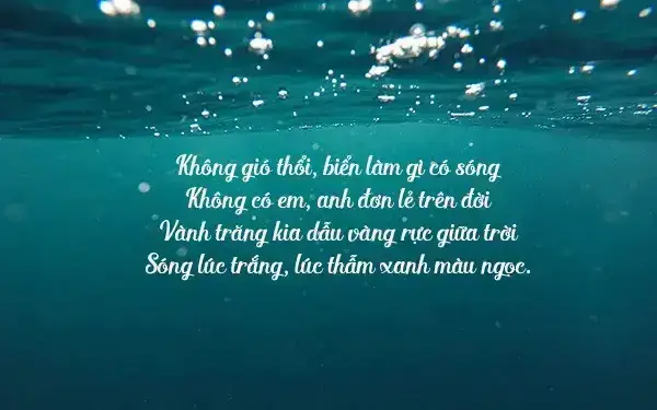 Stt Hay Về Cá Cảnh: Tuyển Tập Caption Ý Nghĩa, Hài Hước & Thả Thính