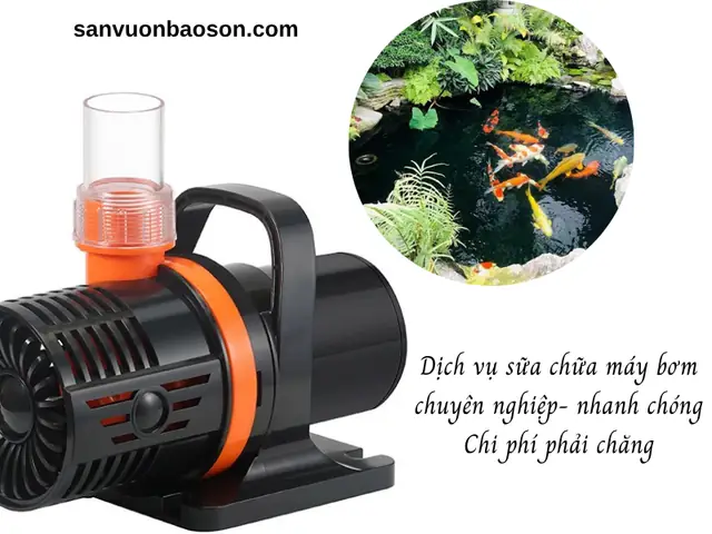 Hướng Dẫn Sửa Máy Bơm Bể Cá Tại Nhà: Khắc Phục Lỗi Phổ Biến, Nguyên Nhân Và Cách Xử Lý