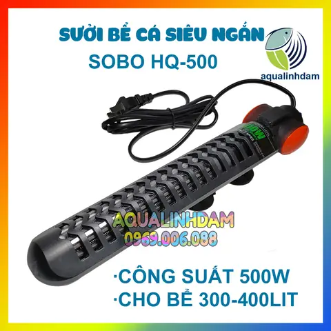 Sưởi Bể Cá 500w: Tiêu Chí Chọn Mua, An Toàn & Hướng Dẫn Sử Dụng