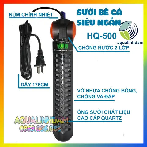 Sưởi Bể Cá 500w: Tiêu Chí Chọn Mua, An Toàn & Hướng Dẫn Sử Dụng