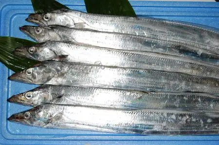 Tác Dụng Của Cá Hố: Lợi Ích Bổ Sung Sức Khỏe Não, Tim Mạch Và Thị Lực Tác Dụng Của Cá Hố: Lợi Ích Bổ Sung Sức Khỏe Não, Tim Mạch Và Thị Lực