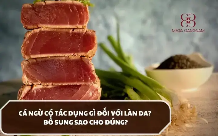 Cá Ngừ: Tác Dụng Tuyệt Vời Cho Sức Khỏe Tim Mạch, Giảm Cân Và Hỗ Trợ Não Bộ