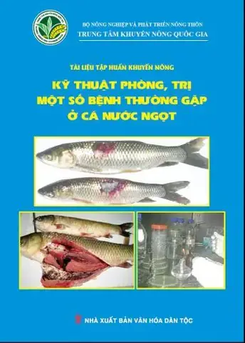 Tài Liệu Nuôi Cá Nước Ngọt: Giáo Trình & Cẩm Nang Toàn Diện