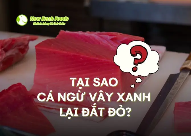 Tại Sao Cá Ngừ Vây Xanh Lại Đắt Đỏ: Giải Mã Giá Trị Vượt Trội