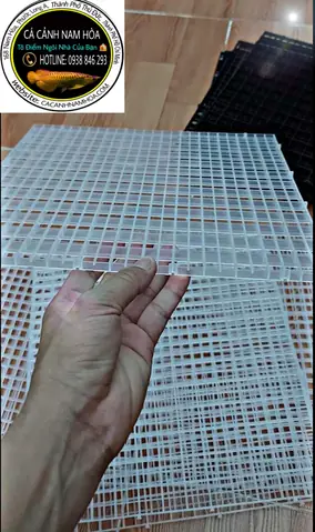 Bạt Lót Hồ Cá: Chọn Loại Nào Tốt, Giá Bao Nhiêu, Mua Ở Đâu? Bạt Lót Hồ Cá: Chọn Loại Nào Tốt, Giá Bao Nhiêu, Mua Ở Đâu?