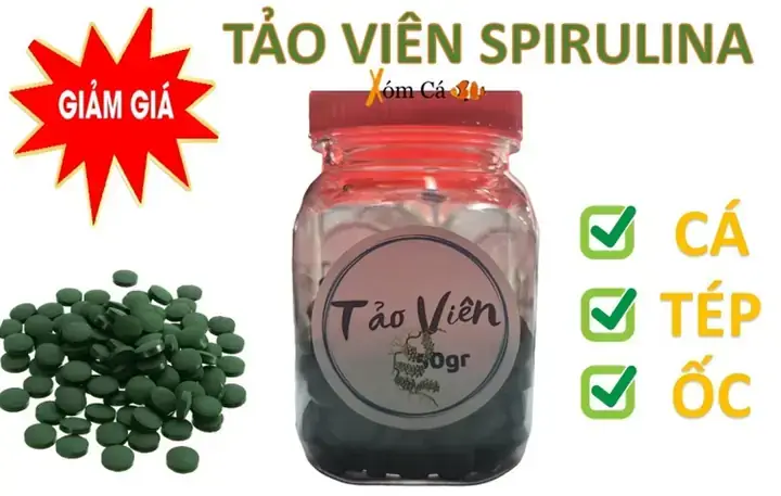 Tảo Viên Cho Cá 7 Màu: Lợi Ích, Cách Dùng Đúng Và Lựa Chọn Tốt Nhất