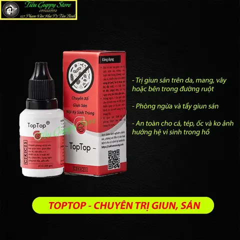 Hướng Dẫn Tẩy Giun Cho Cá Lóc Nuôi: Quy Trình & Lưu Ý Hiệu Quả Hướng Dẫn Tẩy Giun Cho Cá Lóc Nuôi: Quy Trình & Lưu Ý Hiệu Quả