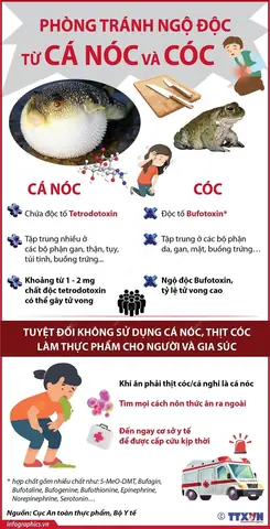 Tetrodotoxin (ttx) Trong Cá Nóc: Nguồn Gốc, Mức Độ Nguy Hiểm Và Cách Phòng Tránh Ngộ Độc Tetrodotoxin (ttx) Trong Cá Nóc: Nguồn Gốc, Mức Độ Nguy Hiểm Và Cách Phòng Tránh Ngộ Độc