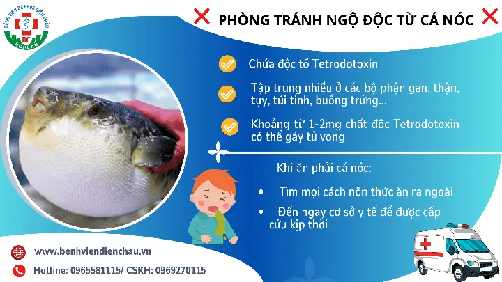 Tetrodotoxin (ttx) Trong Cá Nóc: Nguồn Gốc, Mức Độ Nguy Hiểm Và Cách Phòng Tránh Ngộ Độc Tetrodotoxin (ttx) Trong Cá Nóc: Nguồn Gốc, Mức Độ Nguy Hiểm Và Cách Phòng Tránh Ngộ Độc