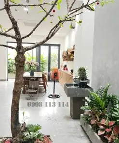 Thác Nước Phong Thủy Nuôi Cá: Hướng Dẫn Chọn Mẫu, Bố Trí Hút Tài Lộc Và Chăm Sóc