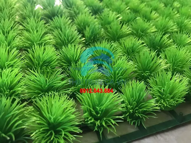 Thảm Cỏ Bể Cá: Chọn Loại Nào, Trang Trí Sao Cho Đẹp & An Toàn?