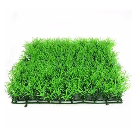 Thảm Cỏ Trang Trí Hồ Cá: Lựa Chọn Xanh Mát Cho Bể Cá Cảnh Của Bạn