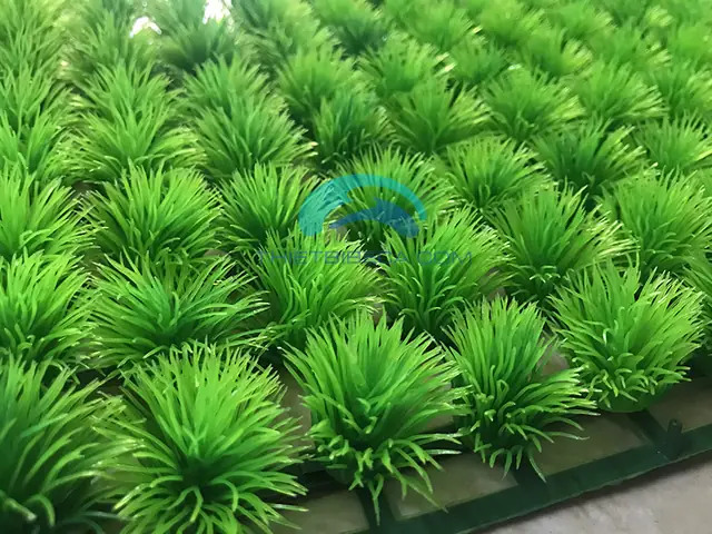 Thảm Cỏ Trang Trí Hồ Cá: Lựa Chọn Xanh Mát Cho Bể Cá Cảnh Của Bạn