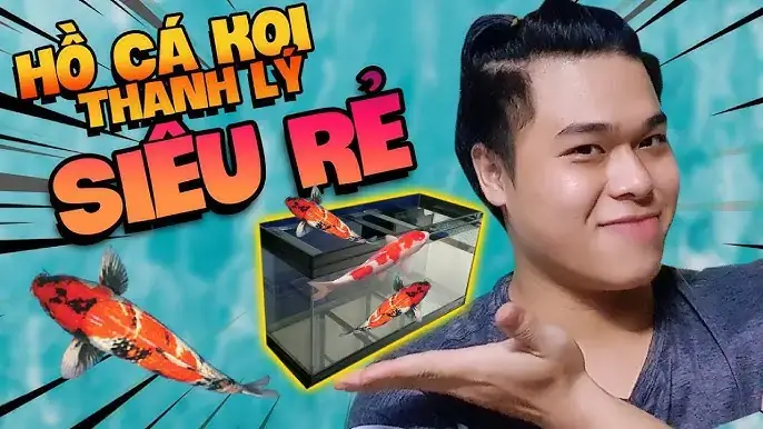 Thanh Lý Bể Cá Cảnh Vũng Tàu: Hướng Dẫn Mua Bán, Giá Tốt Và Địa Điểm Uy Tín Thanh Lý Bể Cá Cảnh Vũng Tàu: Hướng Dẫn Mua Bán, Giá Tốt Và Địa Điểm Uy Tín