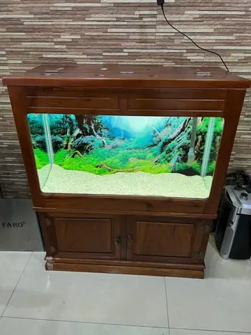 Thanh Lý Bể Cá Cũ Hà Nội: Địa Chỉ Mua Bán & Hướng Dẫn Chi Tiết