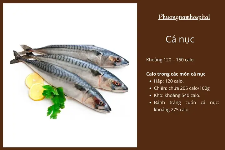 Thành Phần Dinh Dưỡng Cá Nục: Protein, Calo Và Lợi Ích Sức Khỏe