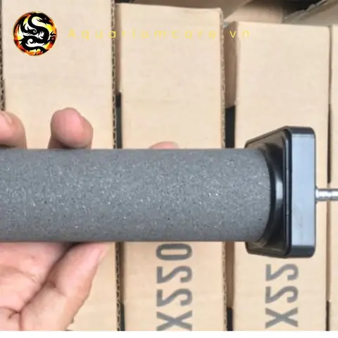 Thanh Sủi Oxy Cho Bể Cá: Hướng Dẫn Chọn, Sử Dụng & Lợi Ích