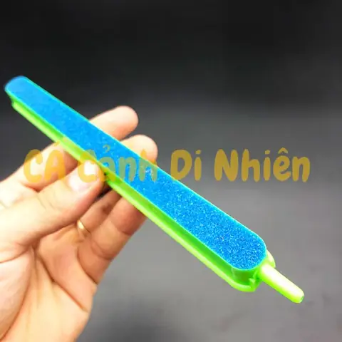 Thanh Sủi Oxy Cho Bể Cá: Hướng Dẫn Chọn, Sử Dụng & Lợi Ích