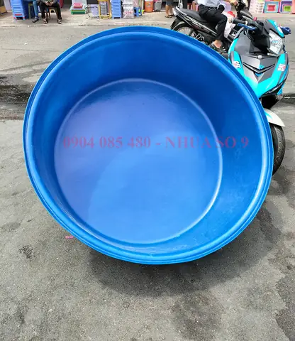 Thau Nhựa Nuôi Cá: Chọn Mua, Sử Dụng & Các Loại Phổ Biến