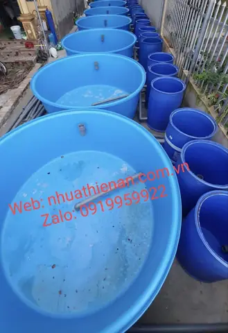Thau Nhựa Nuôi Cá: Chọn Mua, Sử Dụng & Các Loại Phổ Biến