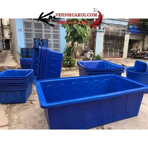 Thau Nhựa Nuôi Cá: Chọn Mua, Sử Dụng & Các Loại Phổ Biến